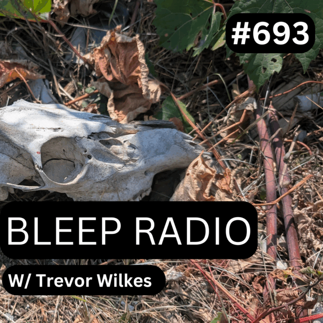 Bleep Radio #693