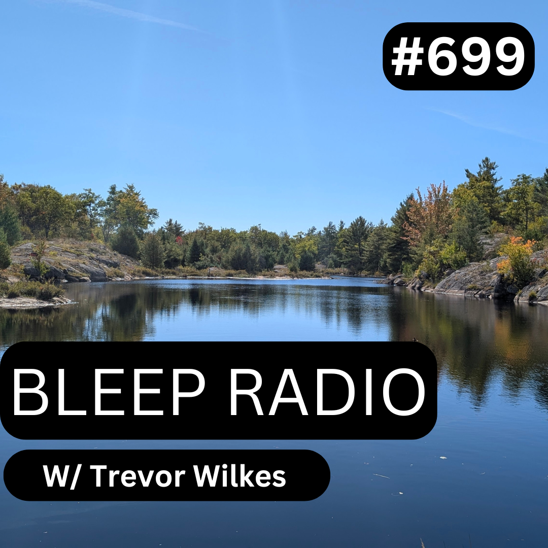 Bleep Radio #699