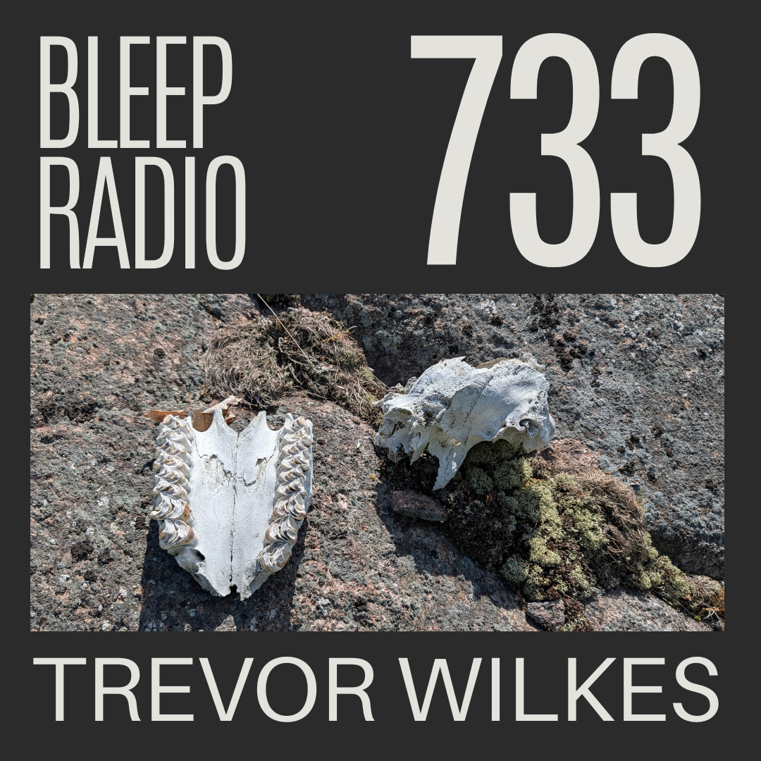 Bleep Radio #733